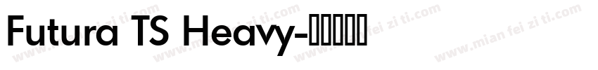 Futura TS Heavy字体转换